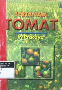Bertanam Tomat