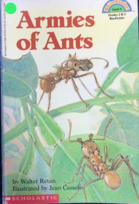 Armies of Ants