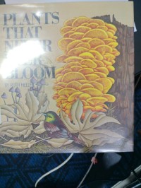 Plants That Never Ever Bloom