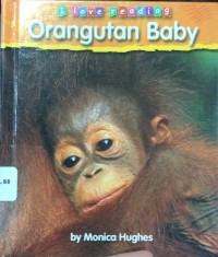 Orangutan Baby