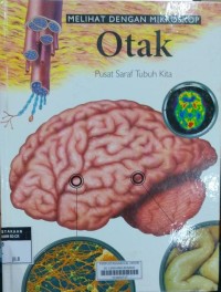 Otak Pusat saraf Tubuh Kita
